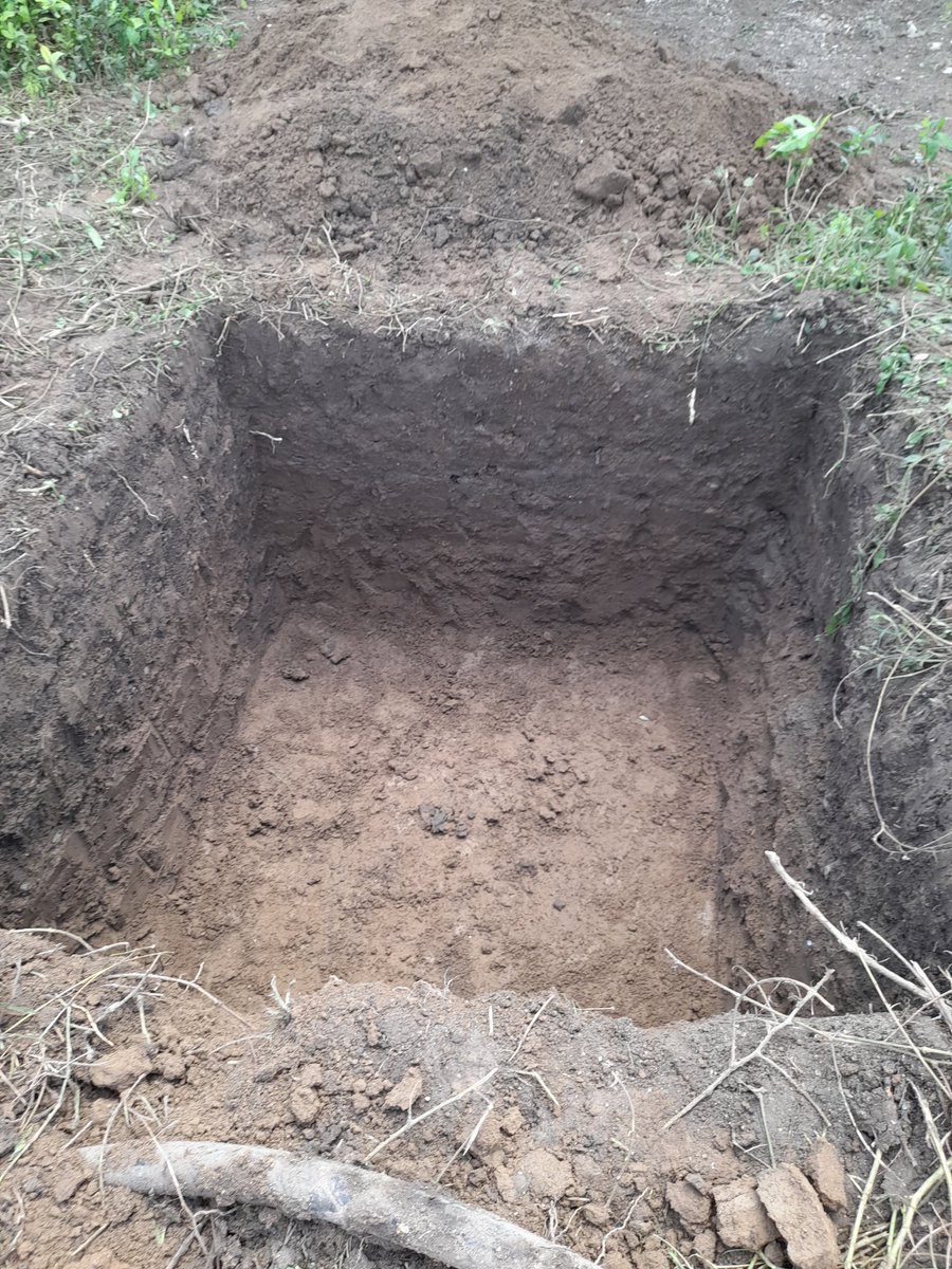 DianaSedalYanes's tweet image. Recuperar los sistemas de abasto y servir el agua a la población es prioridad en el municipio @sanluisgob
Y en ello todas las manos cuentan. Pronto el bombeo rio grande rural  verá el esfuerzo transformado en agua.   #modorecuperación
#SantiagoDeCuba