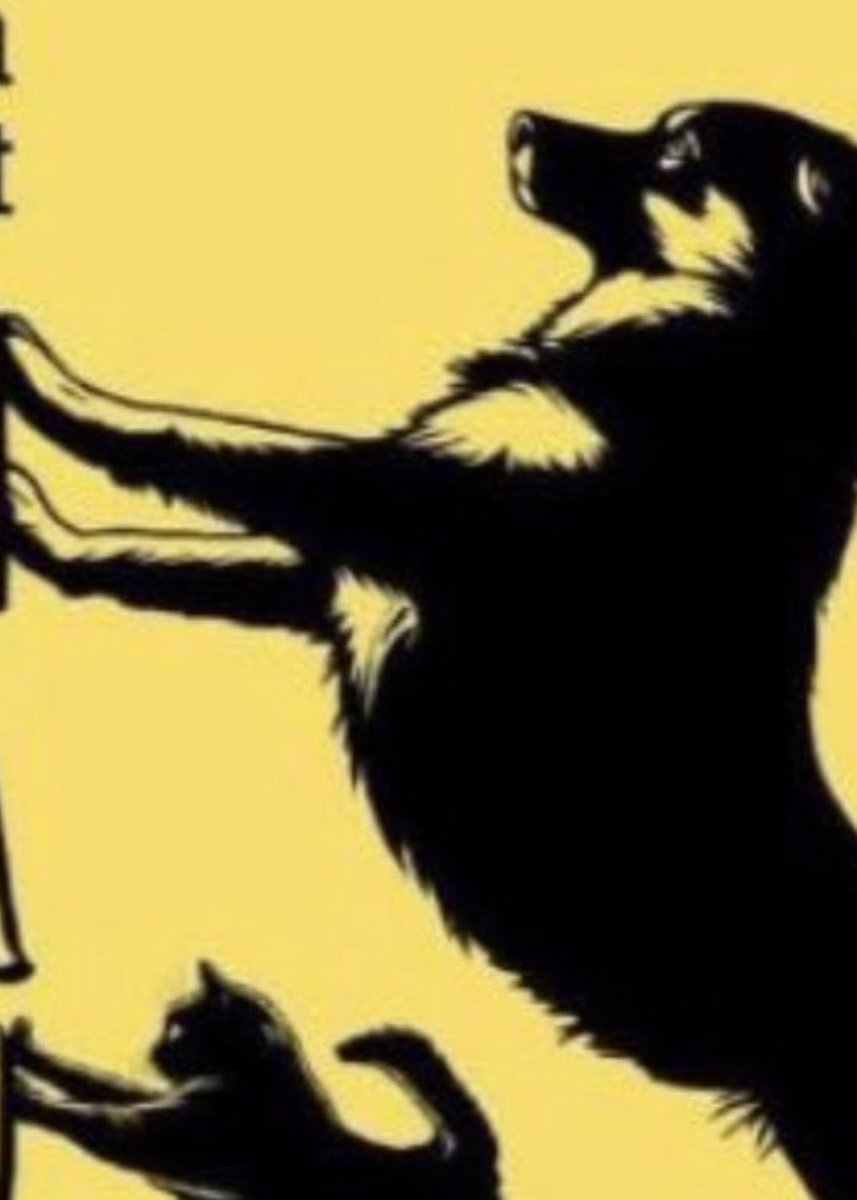 denizseckin0555's tweet image. Kedi yada köpek
Sürüngen yada kuş
Börtü yada böcek
Ağaç yada çimen…

Her canlının yaşama ve beslenme hakkını savunacağım.