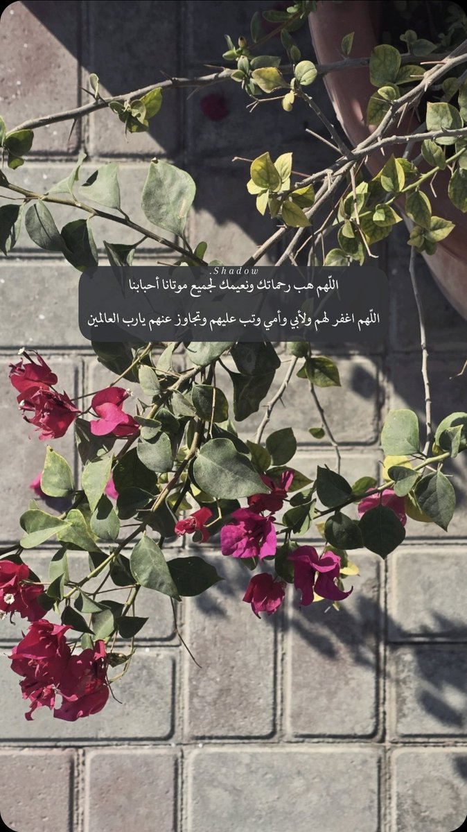 🌸🍃

`

اللهم ارحم أبي وأمي وارحم جميع موتانا وموتى المسلمين . . .