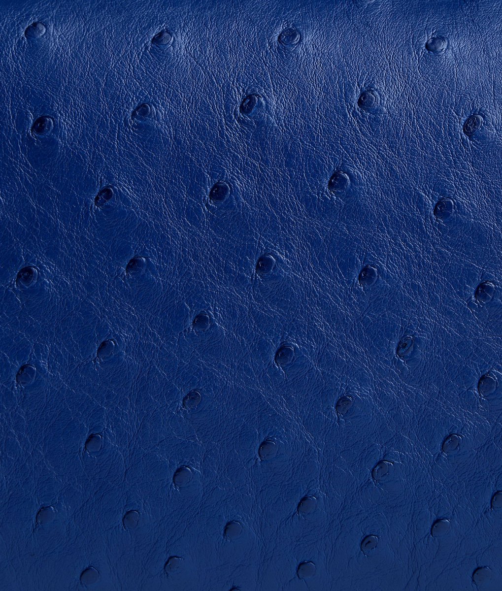 StreetFashion01's tweet image. Bottega Veneta’s new Shade of Blue 🙂‍↕️