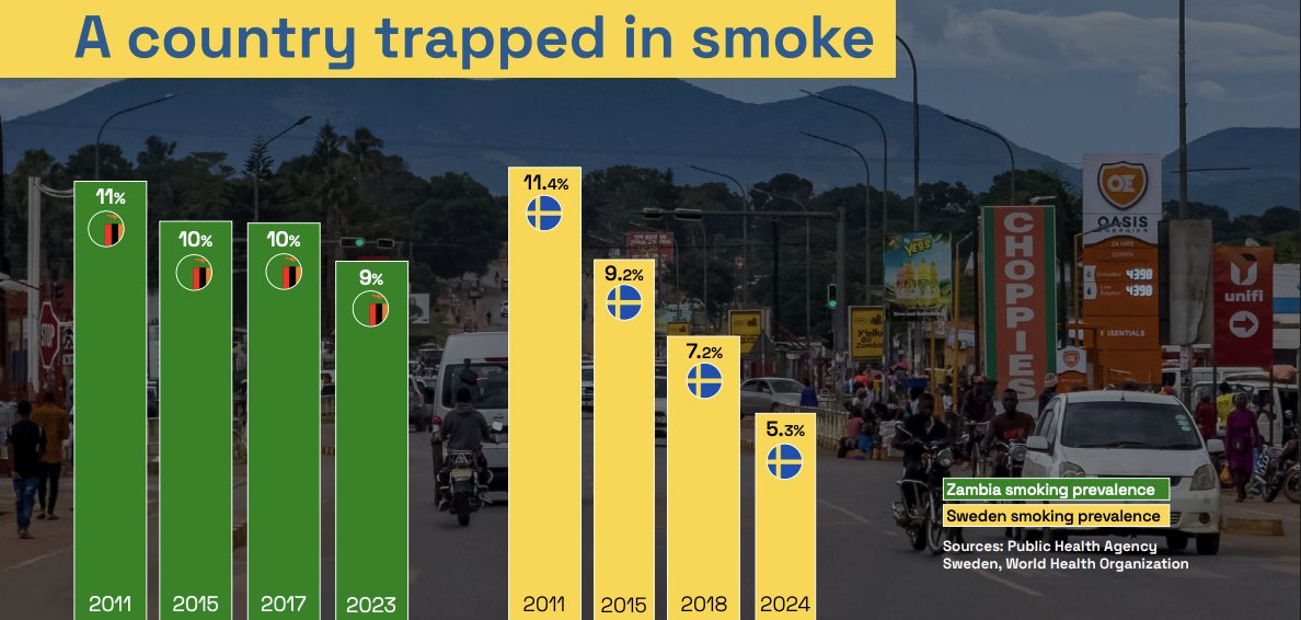 "The proposed flavour ban in Zambia’s Tobacco Bill would be catastrophic."
Here's why: ⬇️