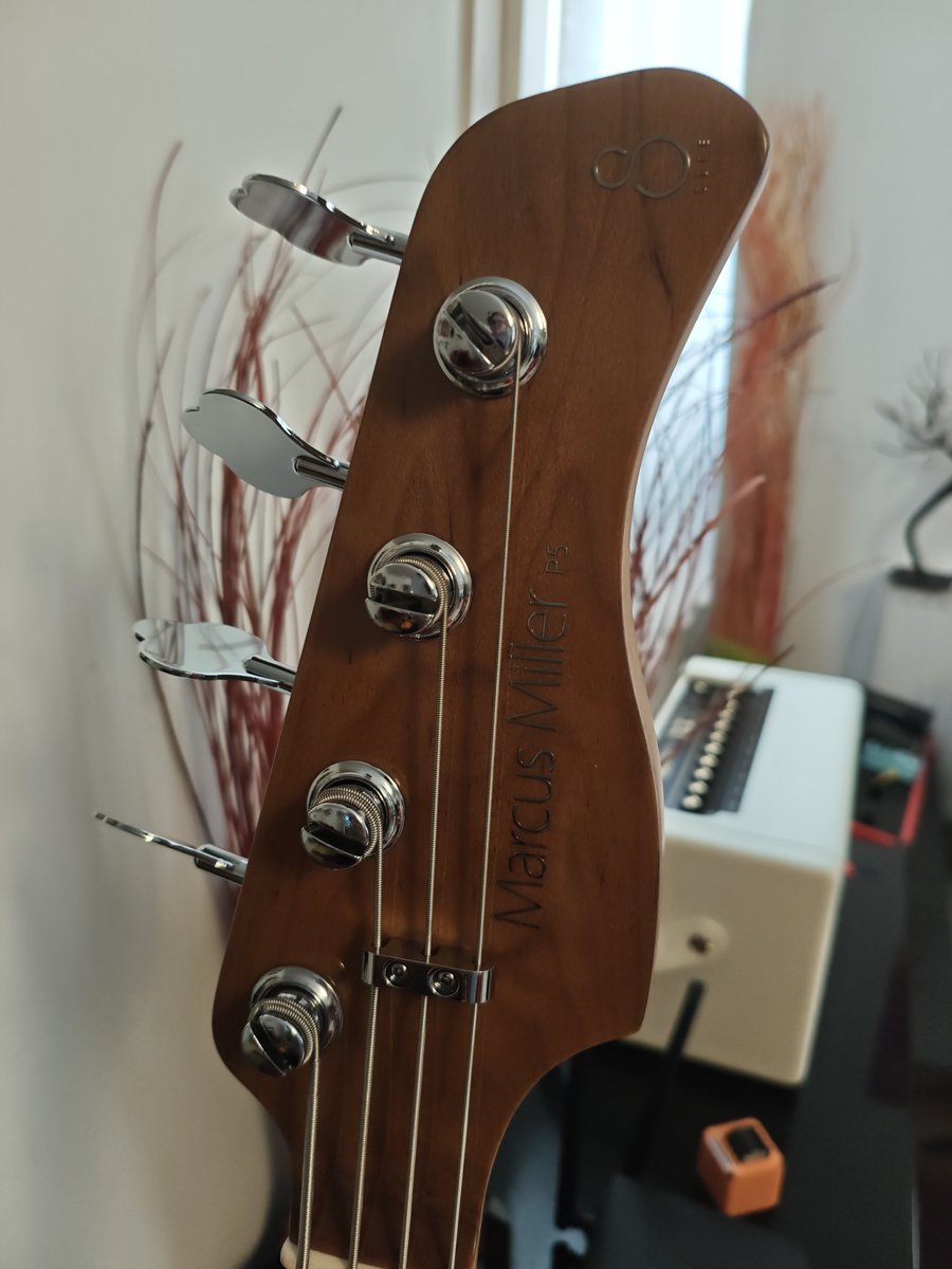 Je vous présente la nouvelle basse de mon chéri, Sire Marcus Miller 💎

Si vous cherchez des basses ou guitares hyper quali, qui sonnent incroyablement, qui dépassent des fender mexicaines ou des epiphones, tournez-vous vers la marque Sire. 
Ça vaut bien plus que ça coûte !