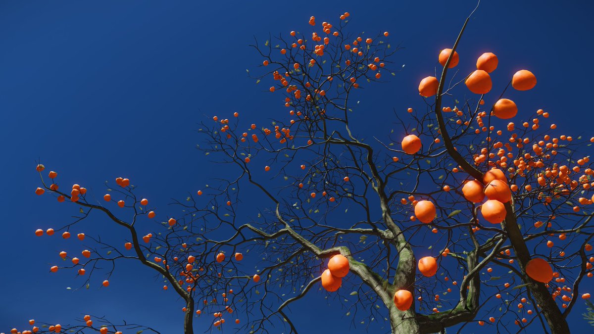 SheikhSadi80's tweet image. Harvest 🌿📸 #PSBlog #PSshare 
#GhostOfYōtei #VPCONTEXT