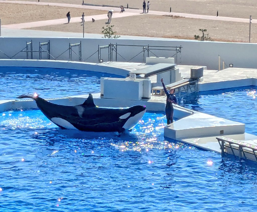 smile☺イハンビンLOVE🎙👑🩷 (@v2525smile2525v) / Posts / X