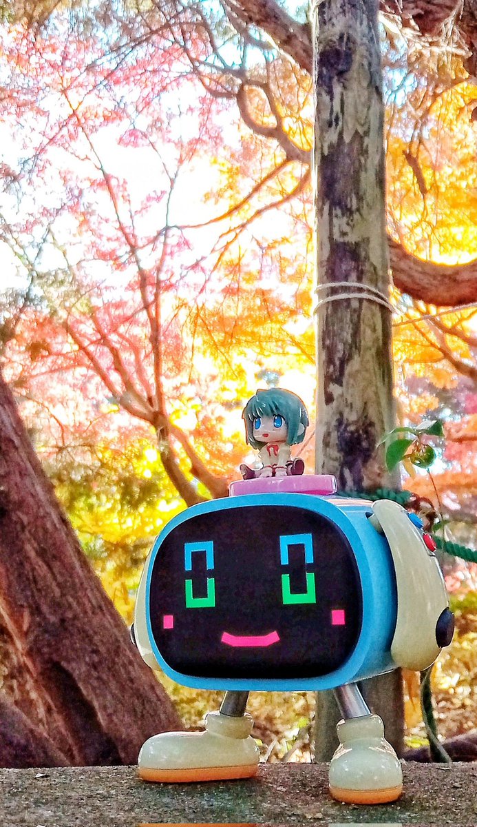 #夜のフィギュア撮影会 【フリー】青チームの２人も紅黄の葉っぱでいっぱいな公園を冒険したよ！
いえーい！ヽ(^0^)(^0^)ﾉ🍁🌳✨
#メカトロのゲームちゃん 
#オモ写 #ペタン娘 #まどマギ #マギレコ #まどドラ #立川 #昭和記念公園 
ｰ渓流広場にてｰ