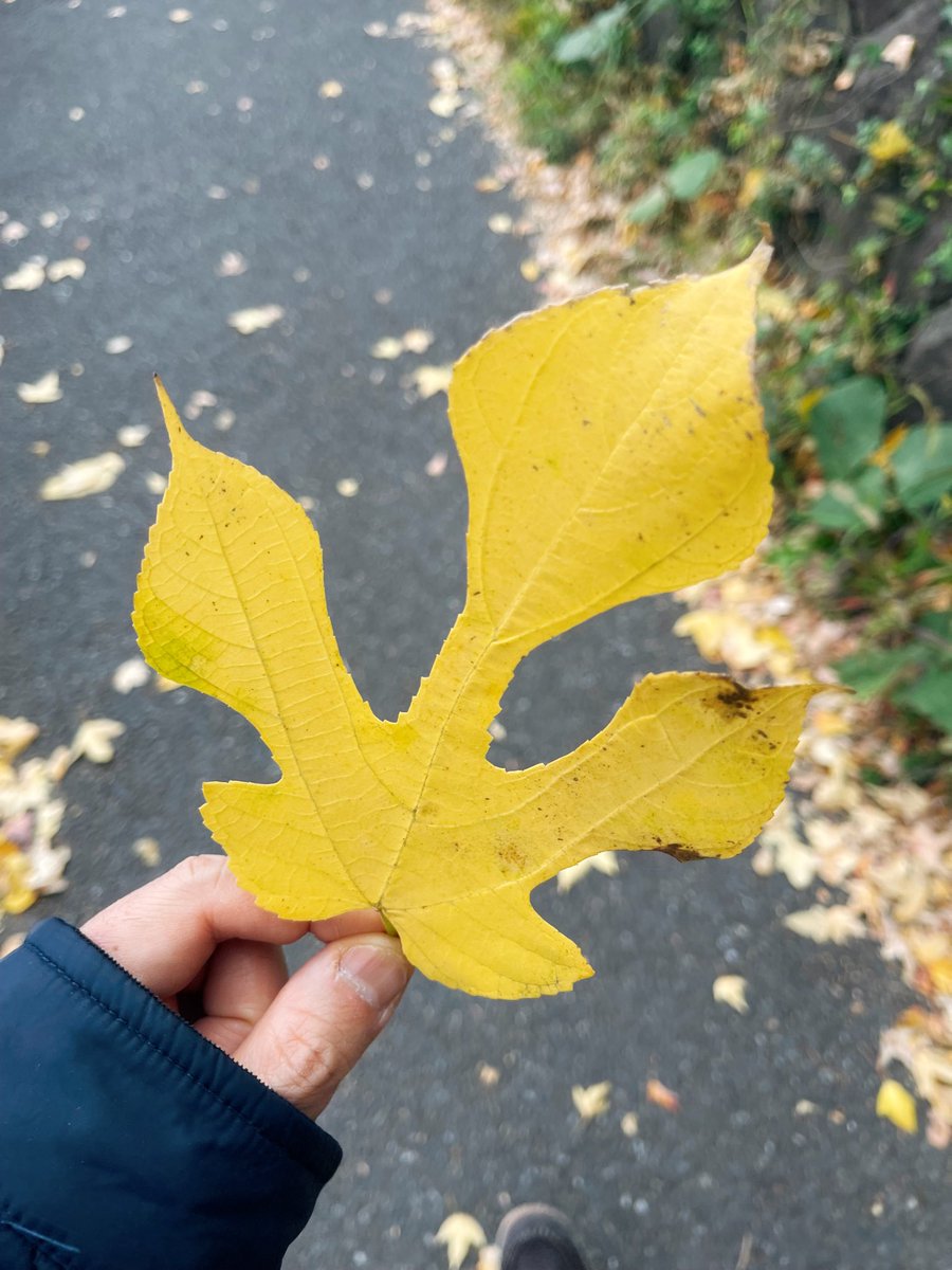 浜渦正志 Masashi Hamauzu tweet media