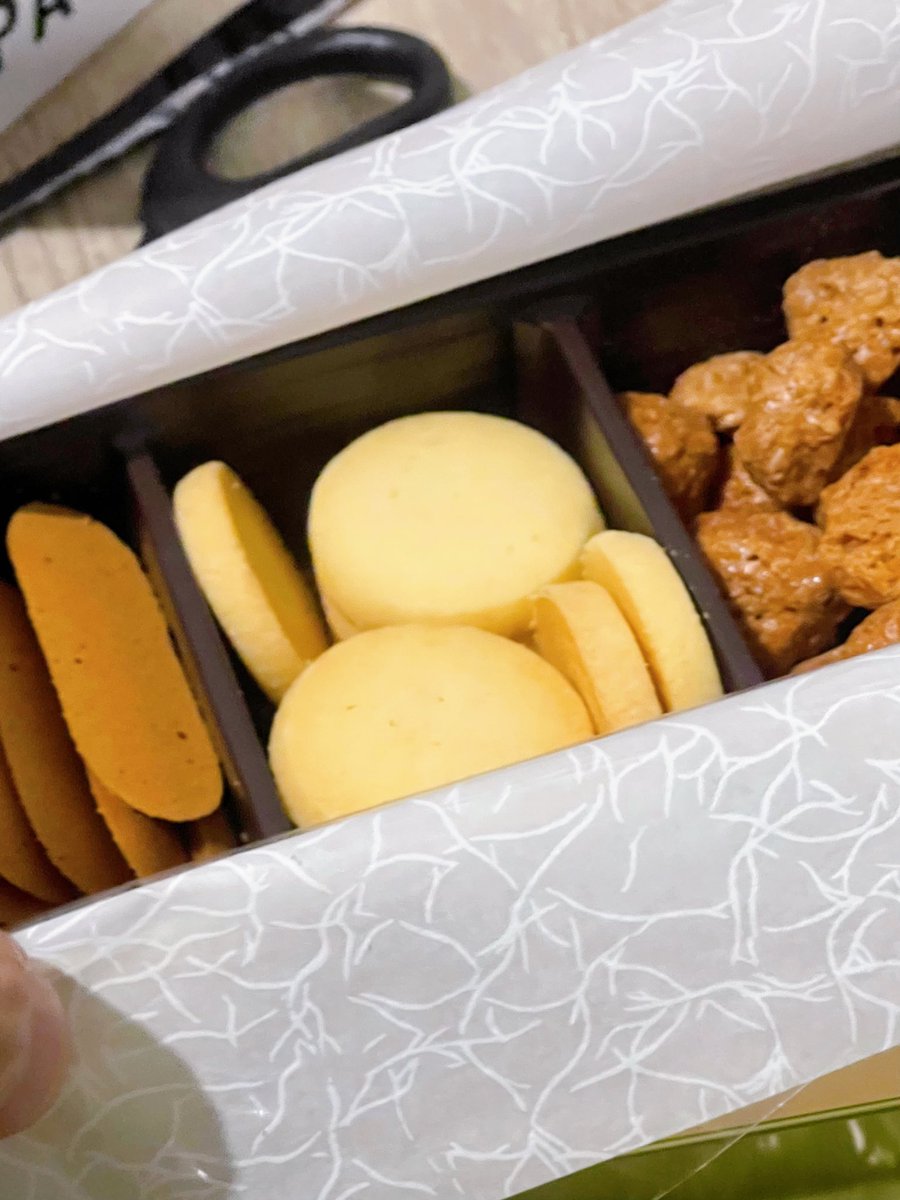 浜渦正志 Masashi Hamauzu tweet media