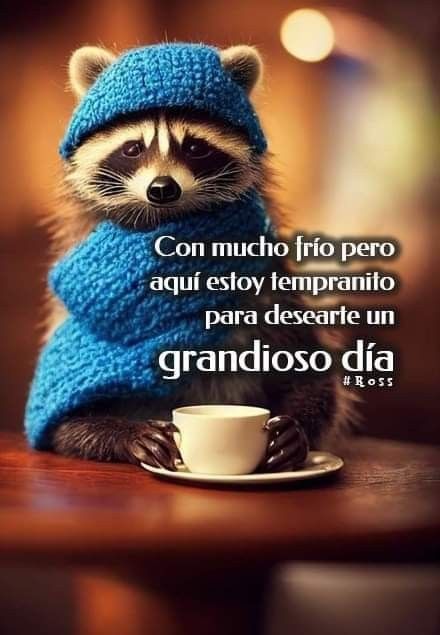 sera8004's tweet image. Buenos días mundo X
Feliz lunes a todos!!

Hoy es un buen día para creer en ti, valorar lo que tienes y avanzar hacia lo que sueñas.

#Lunes 
#FelizInicioDeSemana 
#Comenzamos