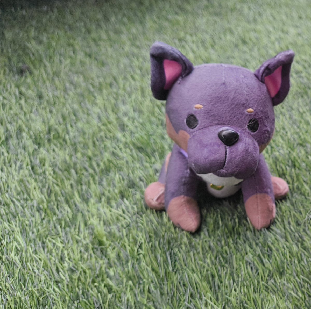 A last gmonad before mainnet is live