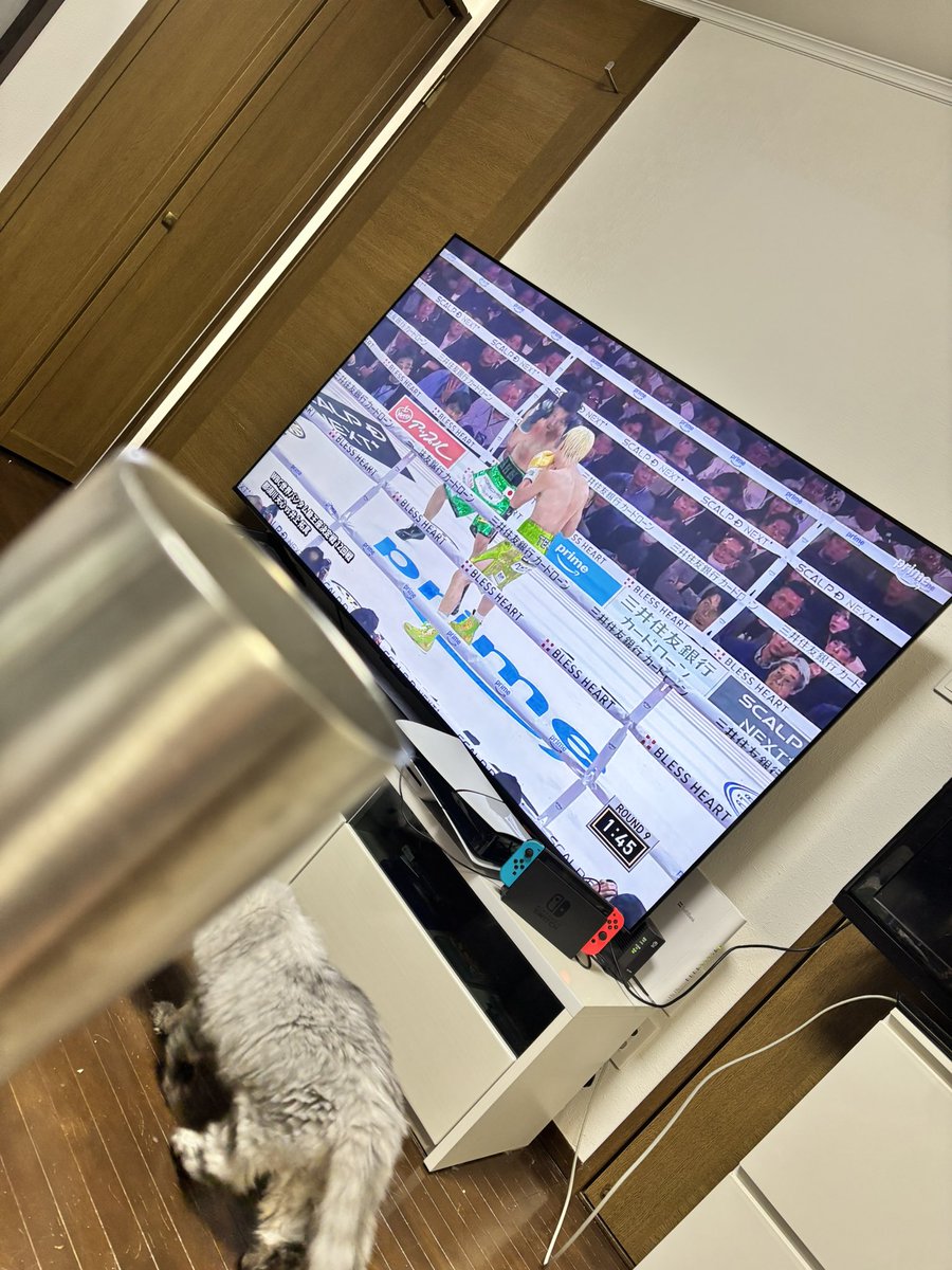 いっくん (@itsu_zx10r) / Posts / X