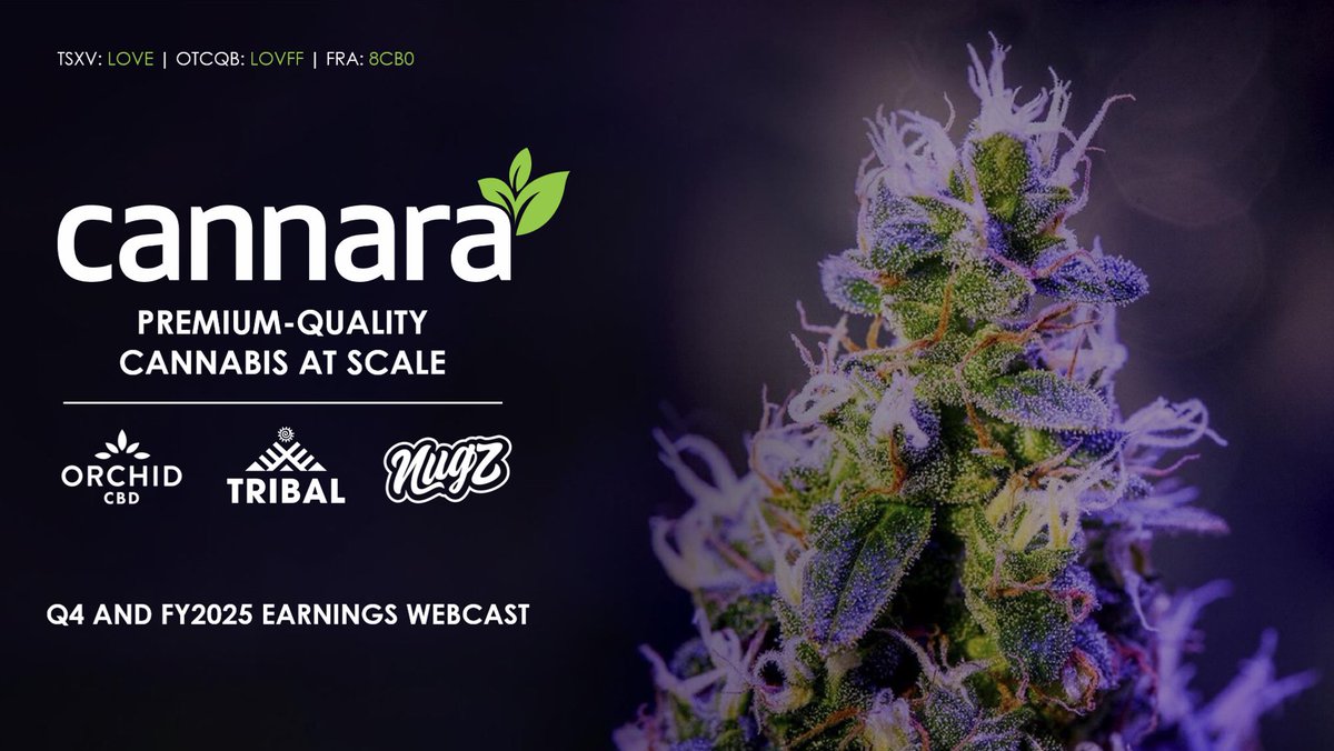 Todd Harrison tweet media