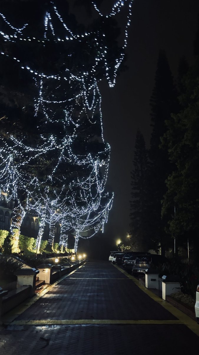 Willing to come back just for their Smoked Duck Breast and Angus Sirloin Steak, sedap weh 😭

📍The Dining Room, Cameron Highlands Resort