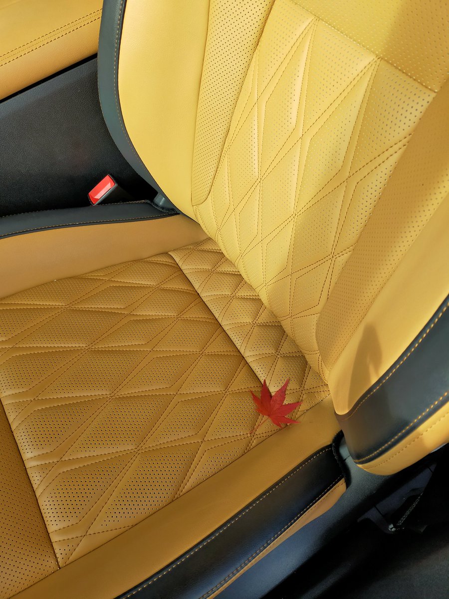 宮城はもう晩秋…🍁