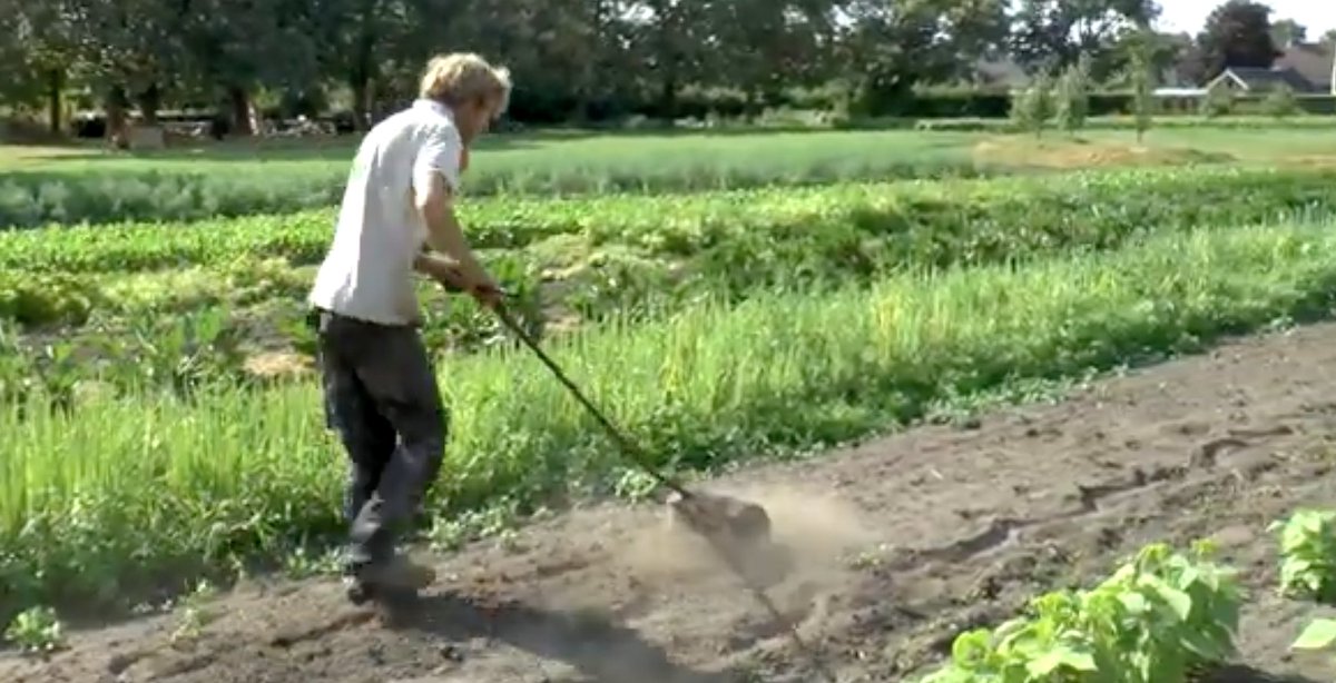 'Inter-vision' as it is known in the #Netherlands is the practice of learning, through regular structured in-person meetings, from the experience of other #SocialFarmers. 
In 2026 trials will be available across Southern England.