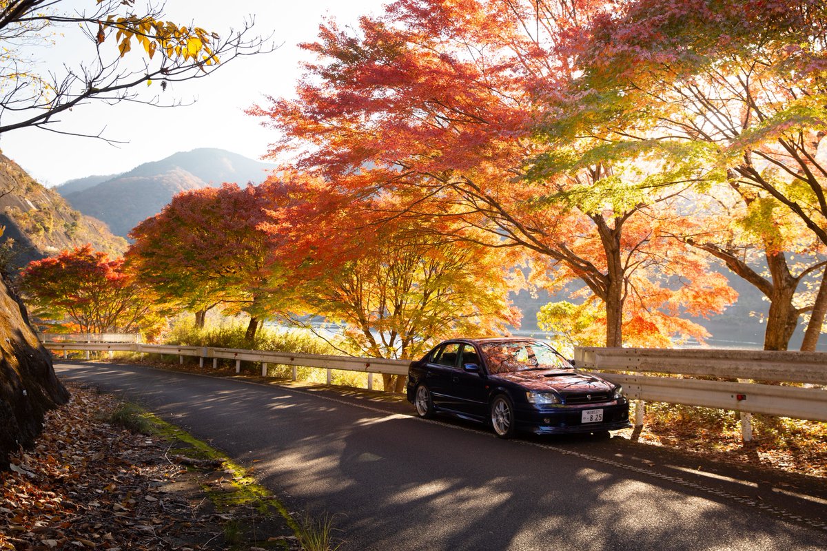 rsk_825_c's tweet image. 🚙 × 🍁
by:暮夜

濃色の反射が綺麗すぎる
ありがとう!