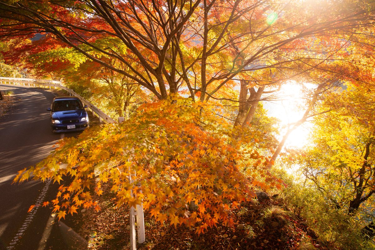 rsk_825_c's tweet image. 🚙 × 🍁
by:暮夜

濃色の反射が綺麗すぎる
ありがとう!