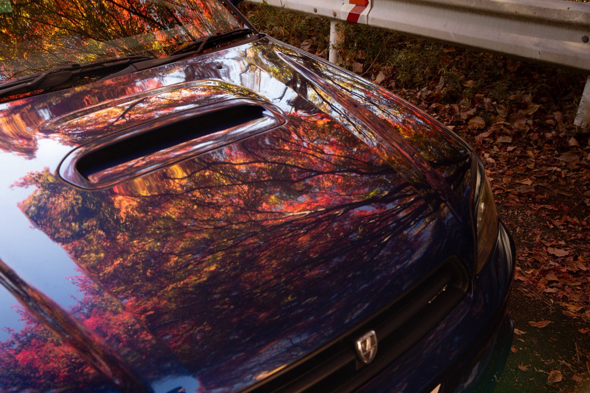 rsk_825_c's tweet image. 🚙 × 🍁
by:暮夜

濃色の反射が綺麗すぎる
ありがとう!