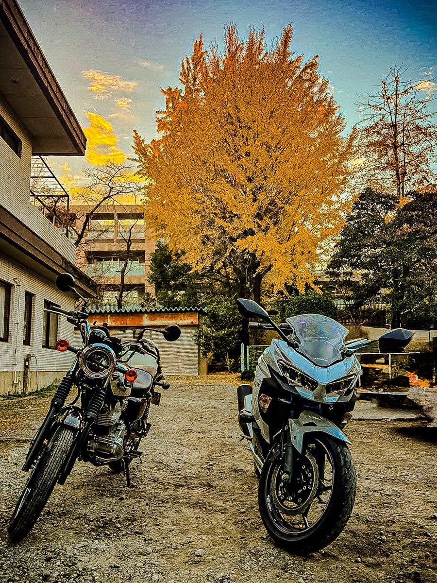 TS87928's tweet photo. 紅葉🍁楽しかった〜🥳
 #ninja400
 #Kawasaki 
 #meguro
#別所沼公園 https://t.co/t4aA1TWae9