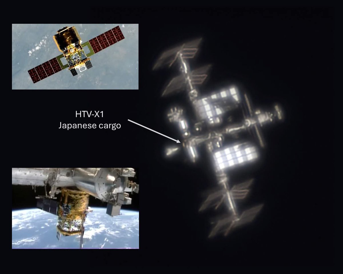 Charline.Astro tweet media