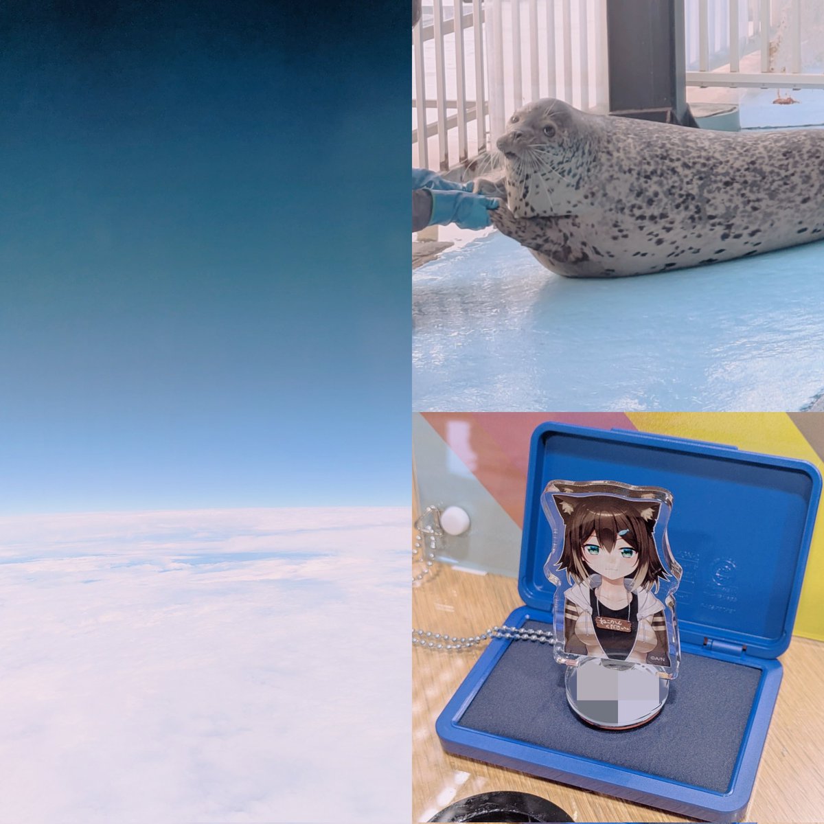 ガラコ🐹 (@v__garakooo) / Posts / X