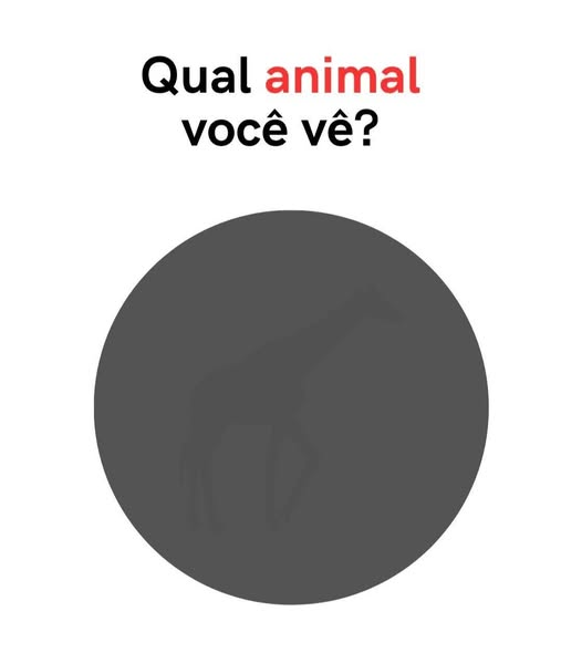 @pontinisandra McCartney tweet media