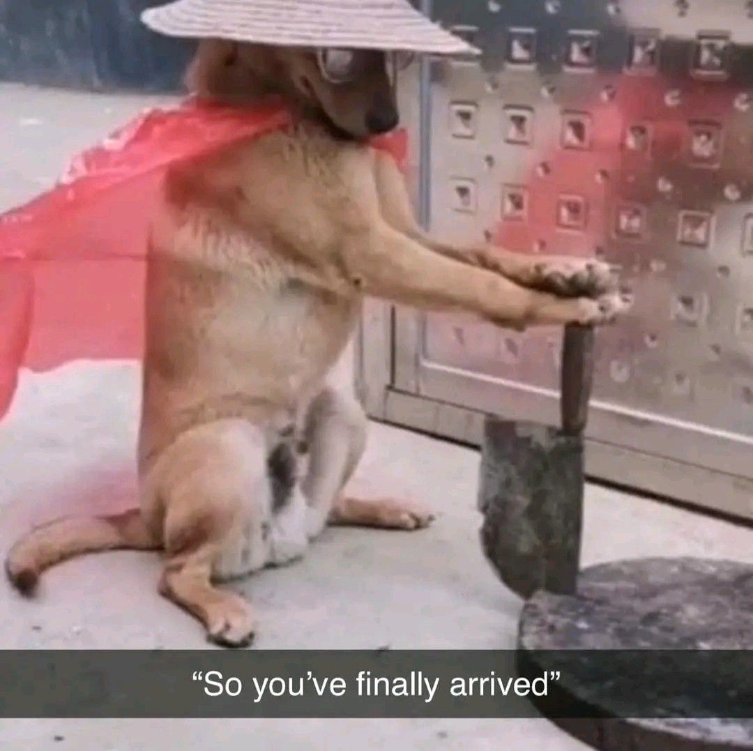 wizexe's tweet image. GMMM (Monad Mainnet Monday)