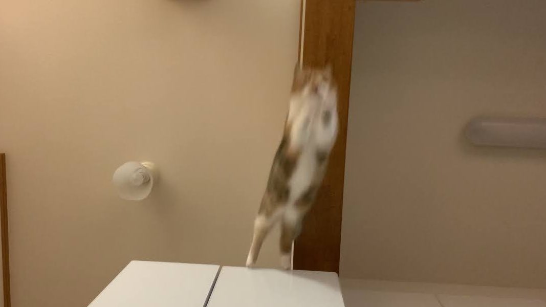 cchcchai's tweet image. 今週も頑張りましょう