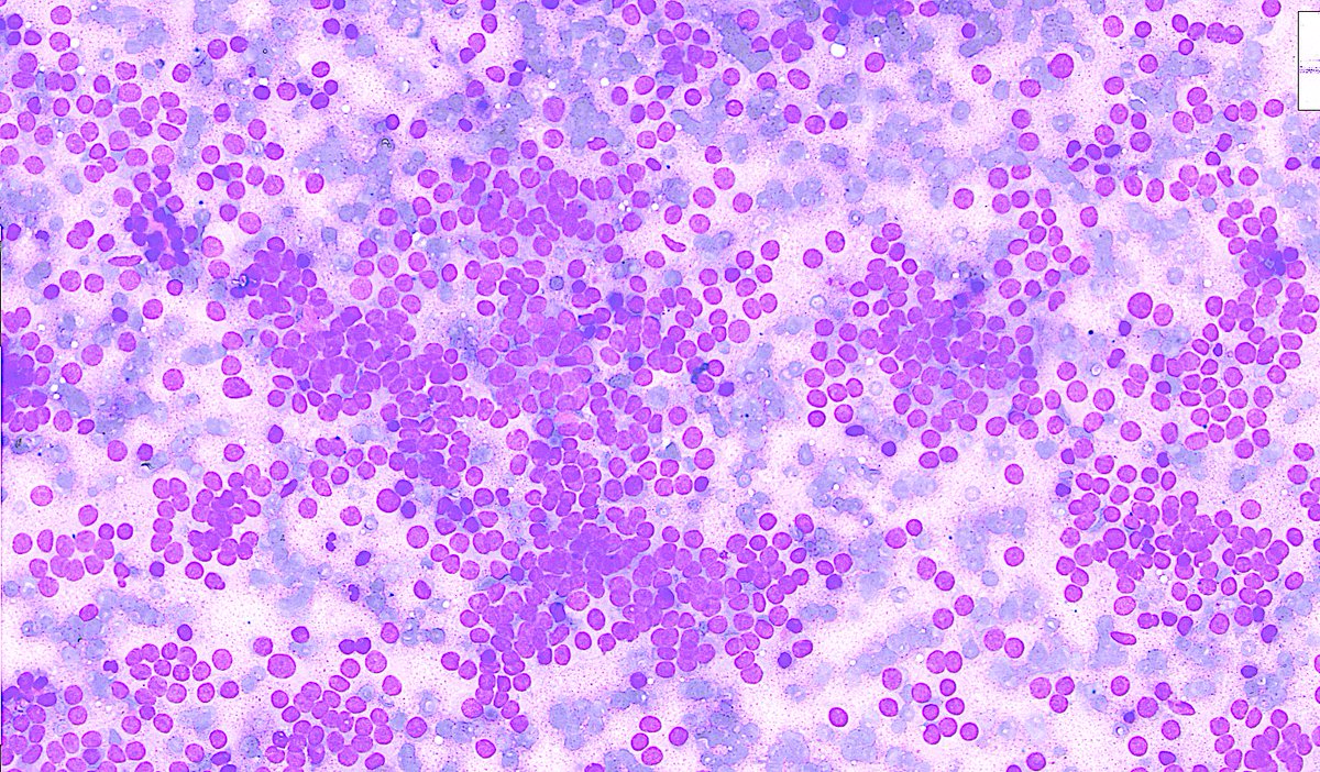 Sumanta Das tweet media