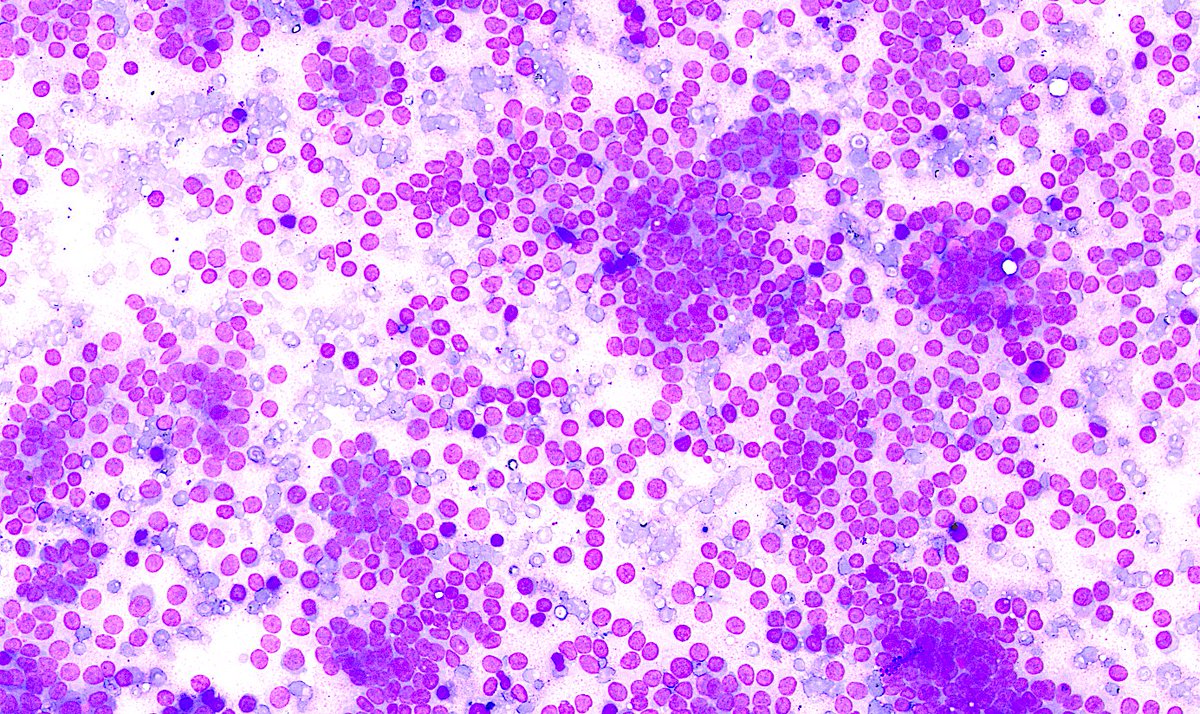 Sumanta Das tweet media