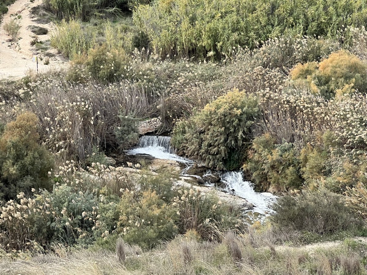 tarafa9's tweet photo. Castillo del Río #Aspe https://t.co/B8iB5zfFac