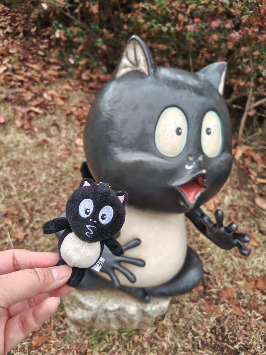 というわけで… 昨日初めて広場いきました たぬきは気がついたら買っ