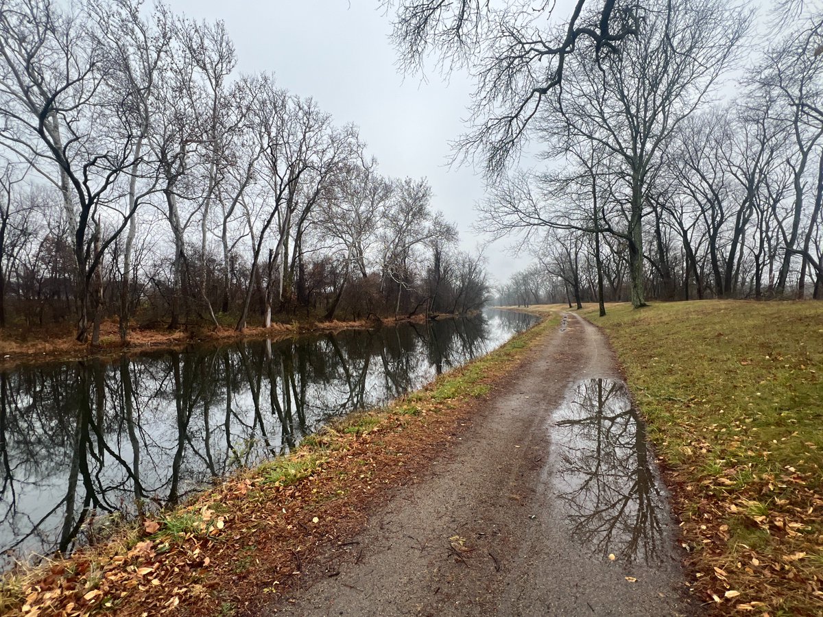 Domain Auctions don't take vacations.  Nor do domain investors. We are true nerds who never take a day off from the computer.   Here are a few names I like as seen on DSAD. com

Archion. com  <a href="/namejet/">NameJet</a>
The. clinic <a href="/Catched10/">Catched</a> 
Prox. io <a href="/GoDaddy/">GoDaddy</a> 
SuperEmails. com <a href="/atomHQ/">Atom.com</a> 
Skyd. com