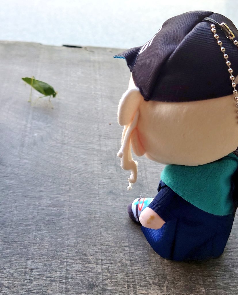 moyashisuwao's tweet image. キリギリスと対話する鏑木
#つぶやきろこ