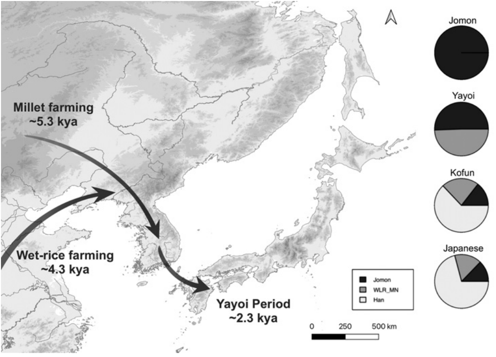East Asians are closely related populations that were still admixing with each other in the Late Roman period.

Let's look at the genetic history of Japan:
It was first inhabited by 'Jomon' hunter-gatherers from Korea. Half of this ancestry was replaced 2300 years ago by a
