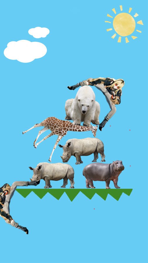 いやぁ、
にこたん使いやすくて助かるなぁ
#虎と繋がりたい #虎のいる生活