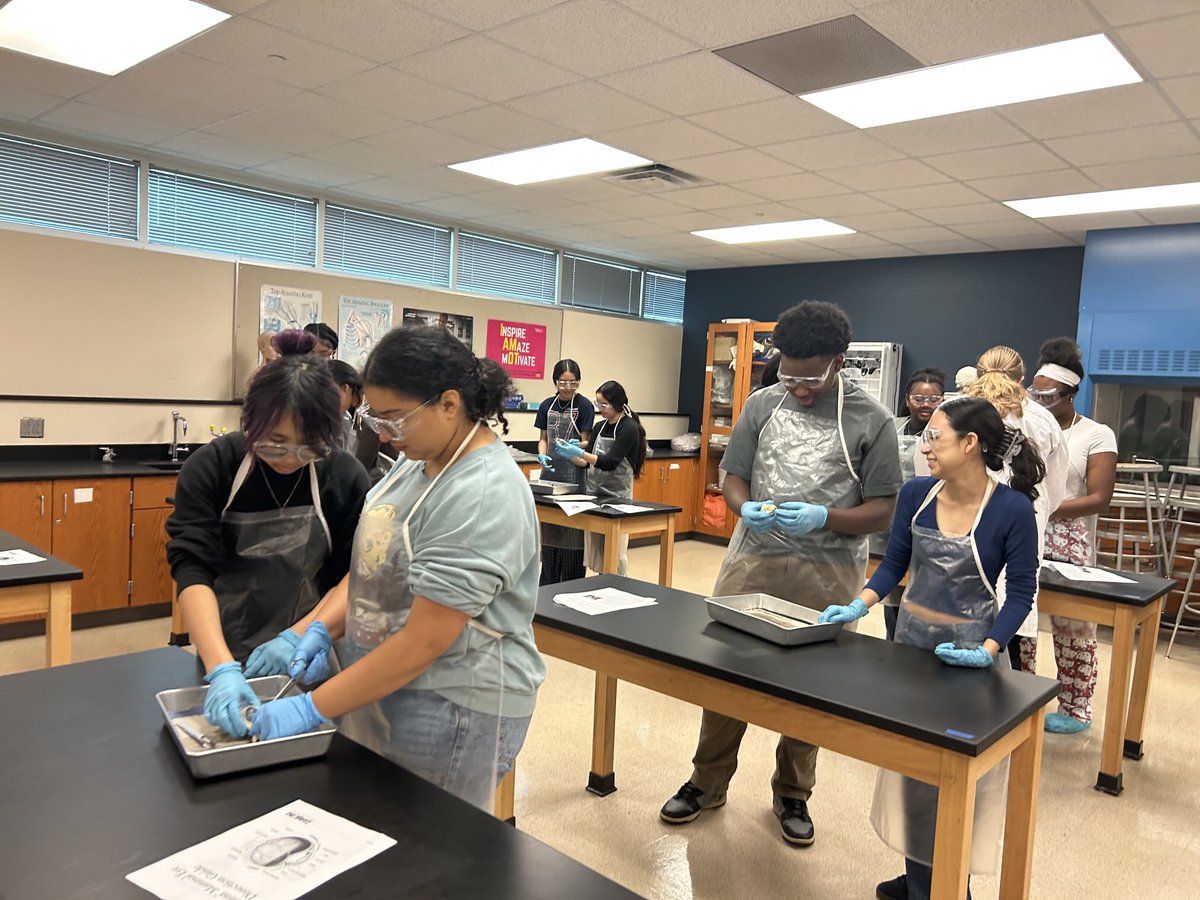 EDouglas_WHS's tweet image. DC A&amp;amp;P lab ⁦@cwhs_springisd⁩, Amazing! Students engaged in dissection &amp;amp; explaining structure/function w/confidence! Proud of this teacher’s growth over the last 5 yrs! Coaching+intentional planning = real dual credit readiness.
@SpringISD_CTE ⁦⁦⁦