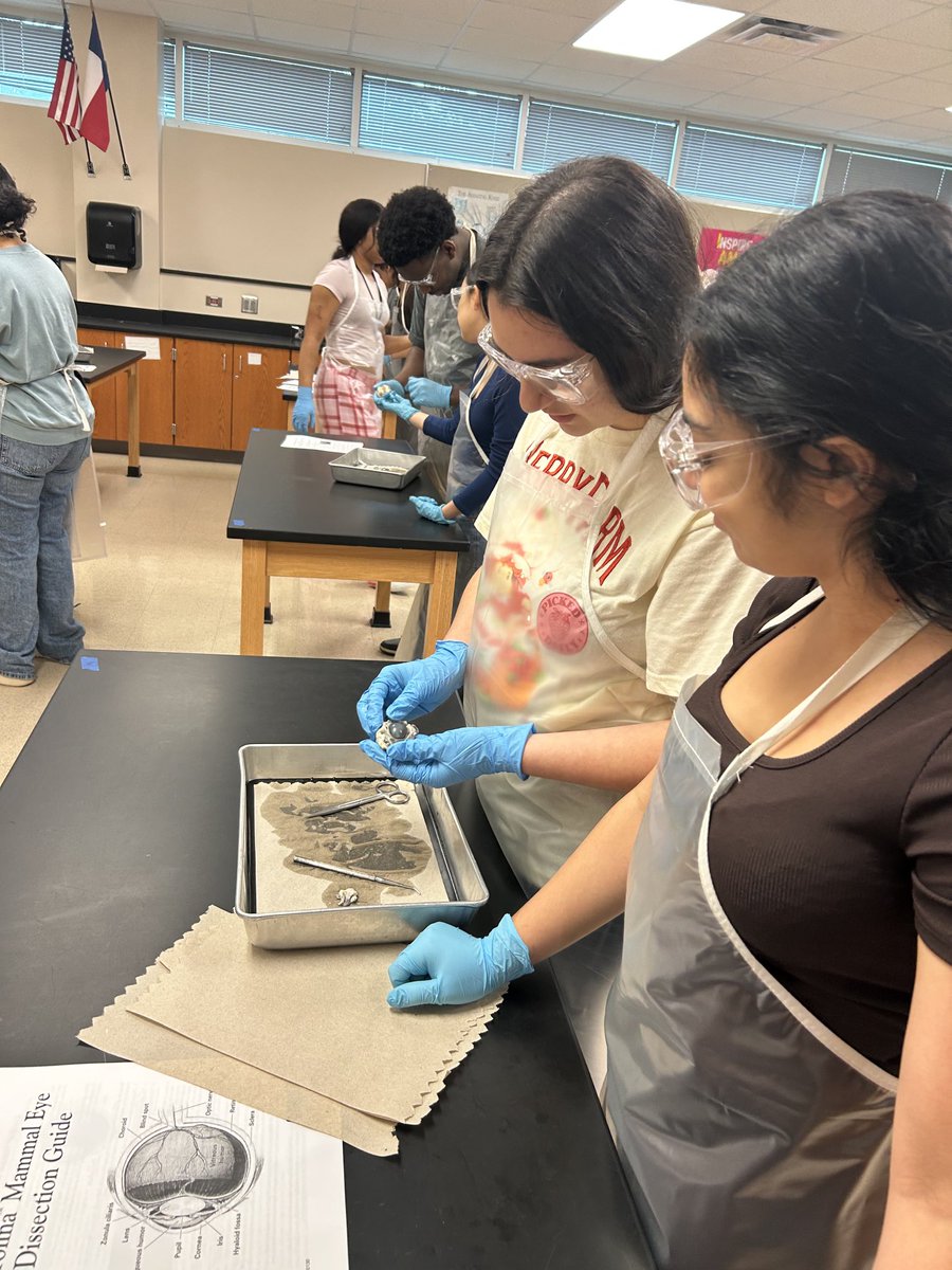 EDouglas_WHS's tweet image. DC A&amp;amp;P lab ⁦@cwhs_springisd⁩, Amazing! Students engaged in dissection &amp;amp; explaining structure/function w/confidence! Proud of this teacher’s growth over the last 5 yrs! Coaching+intentional planning = real dual credit readiness.
@SpringISD_CTE ⁦⁦⁦