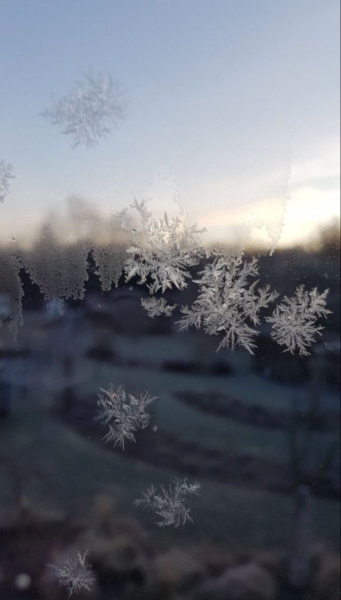 marcowa_x's tweet image. 