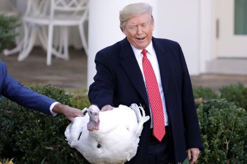 Every year the president pardons two turkeys. They should have named the two turkeys Joe and Hunter, so President Trump could announce that he's pardoning Joe and Hunter.