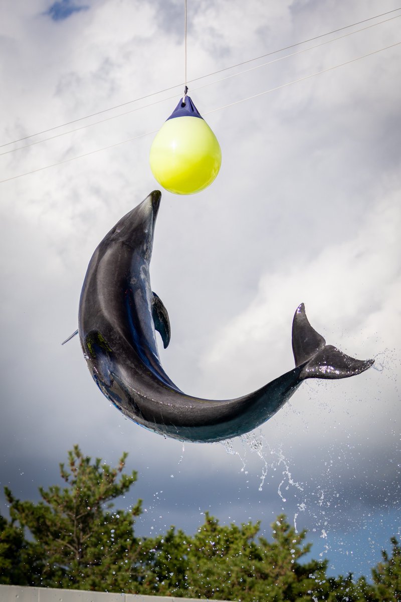 MaTaBeatCamera's tweet image. 鴨川シーワールドほんと良かった。
#EOSR6mark2