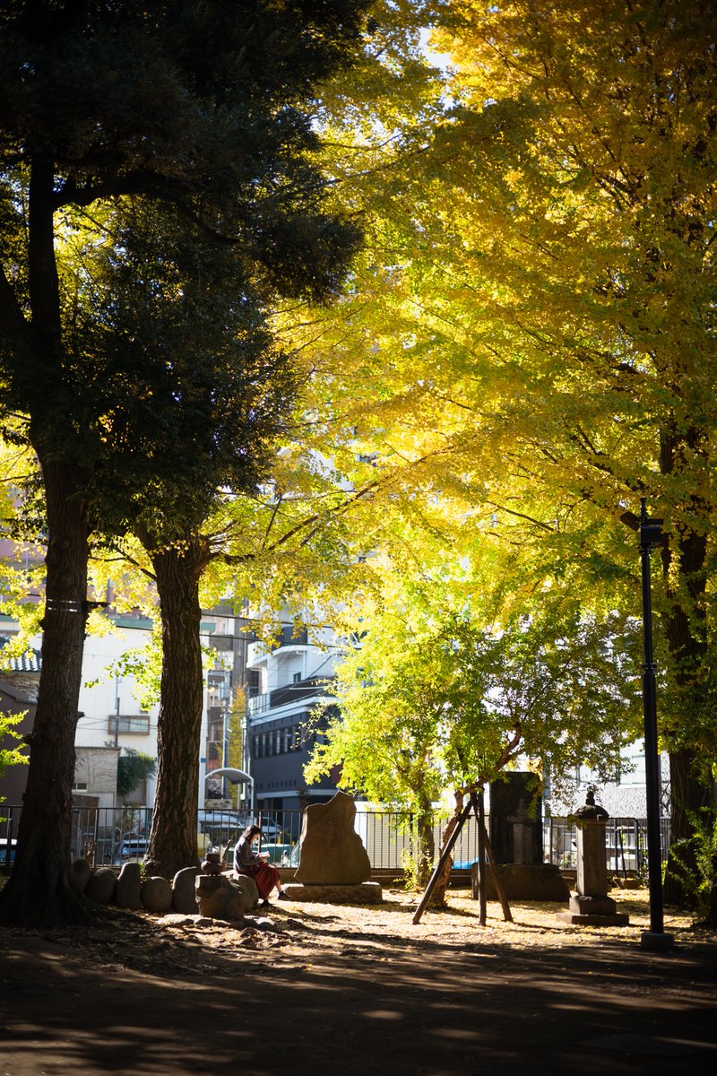 めちゃ普通だけども綺麗だったので。