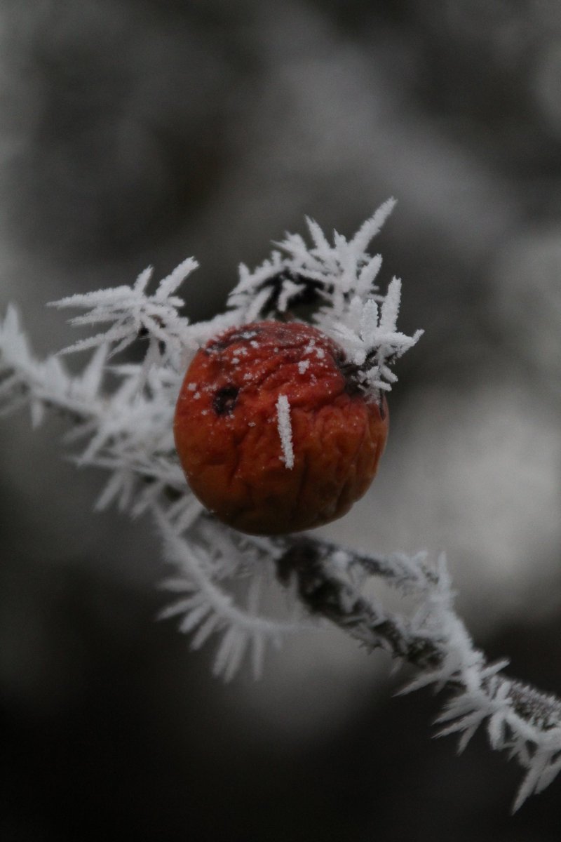 Ich wünsche Euch einen schönen Nachmittag 🙋‍♂️☕❄️