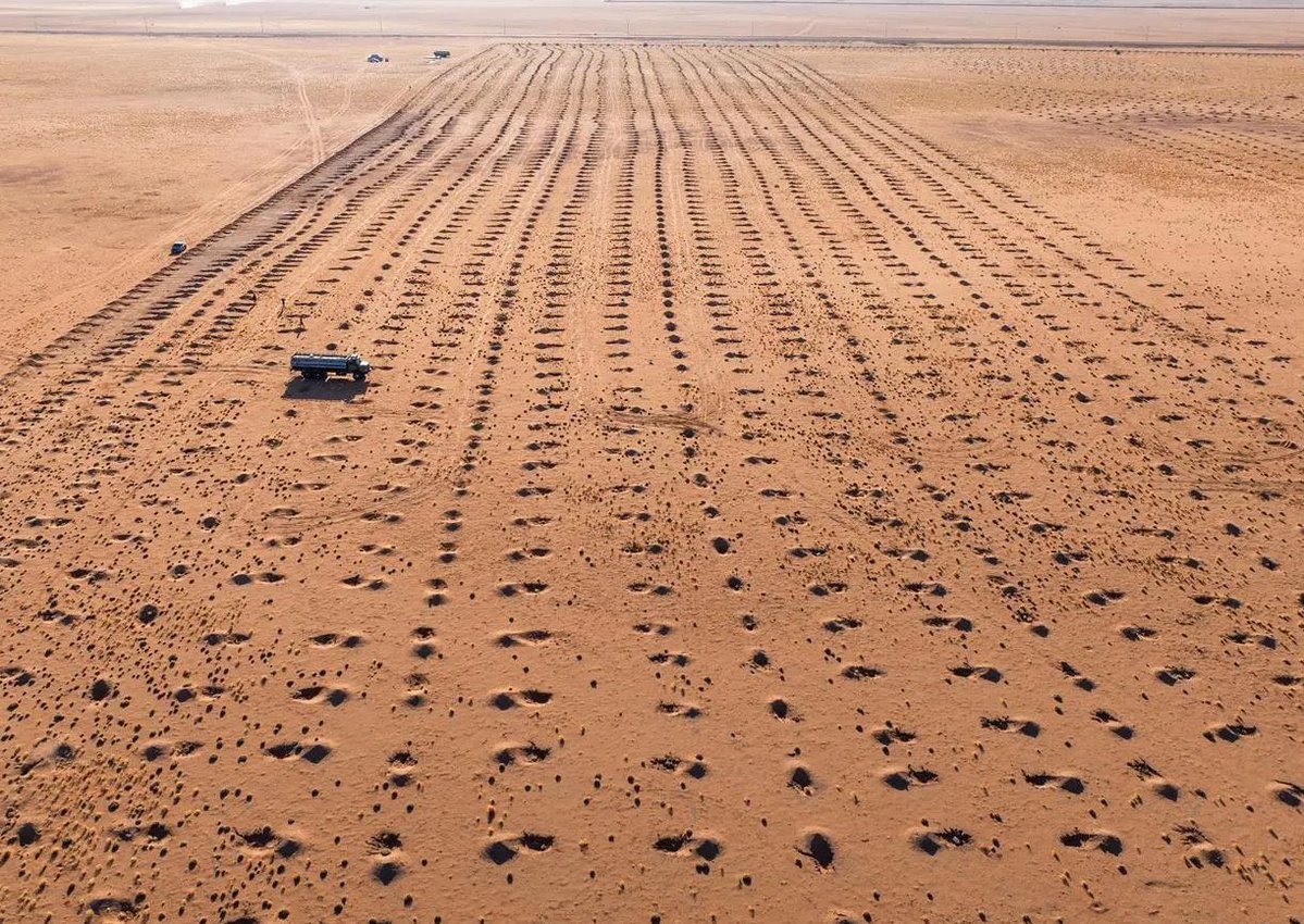 "محمية الملك عبد العزيز الملكية" تطلق مشروع "واحة الغد"، لزراعة 20 ألف شتلة محلية.