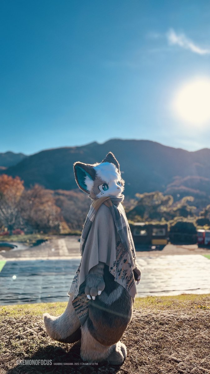 #ケモノフォーカス Photo by #_fukasi