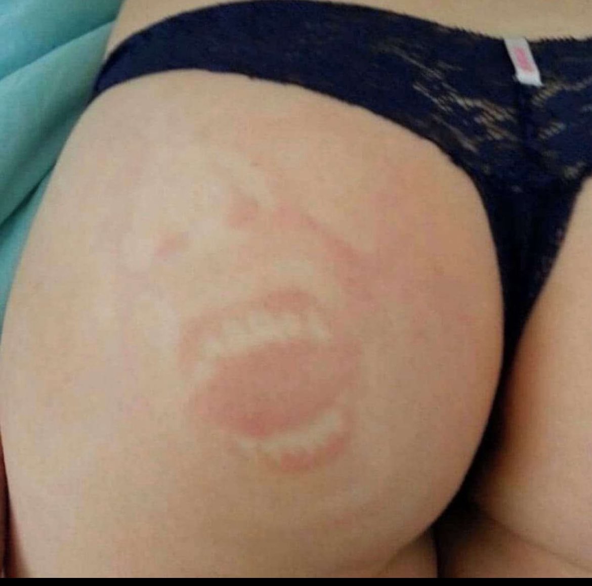 nejat jobs (@karaka2828) on Twitter photo 