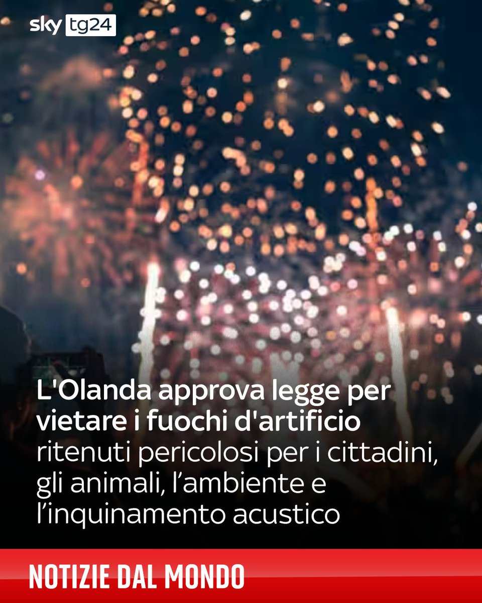 Dal primo gennaio del 2026 nei Paesi Bassi non sarà più possibile acquistare e utilizzare fuochi d’artificio per uso privato. Questo è quanto deciso dal Senato che ha votato a favore del divieto a livello nazionale ➡️ shorturl.at/zxuki