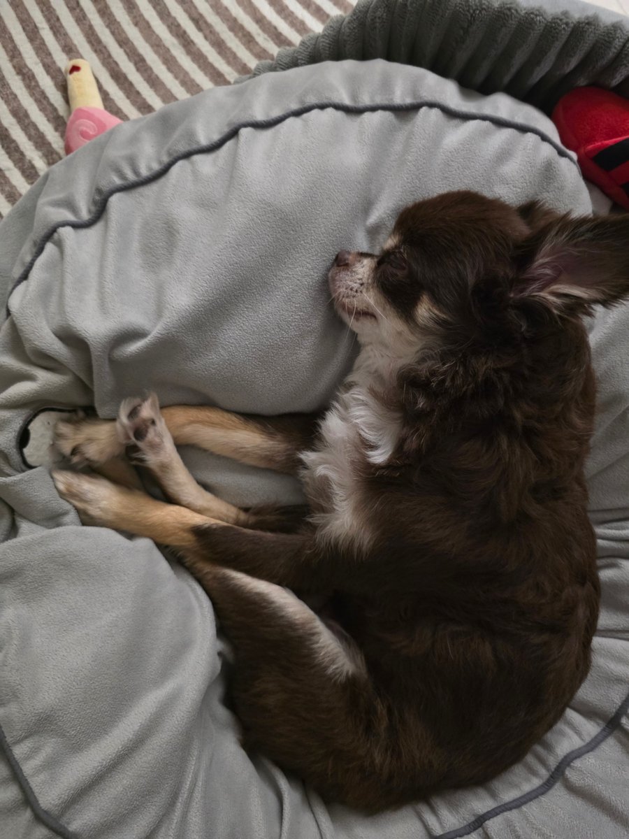 건호가 올려주는 일상 사진 참 좋다