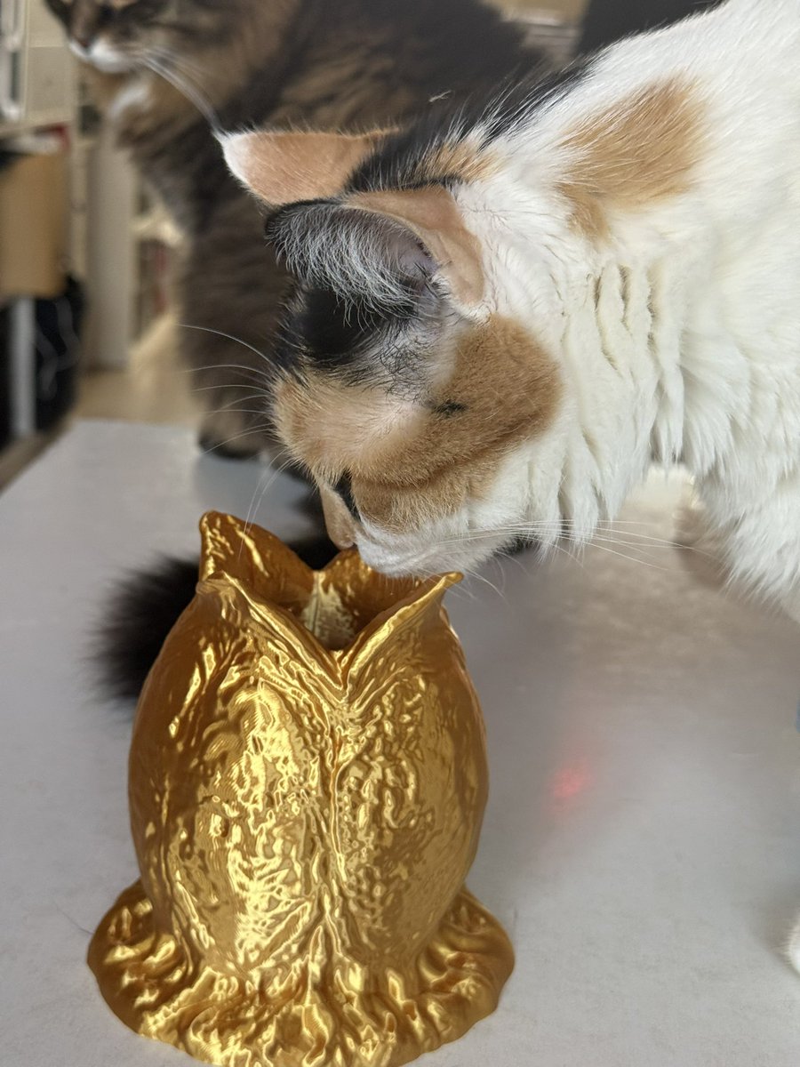 laier's tweet image. 