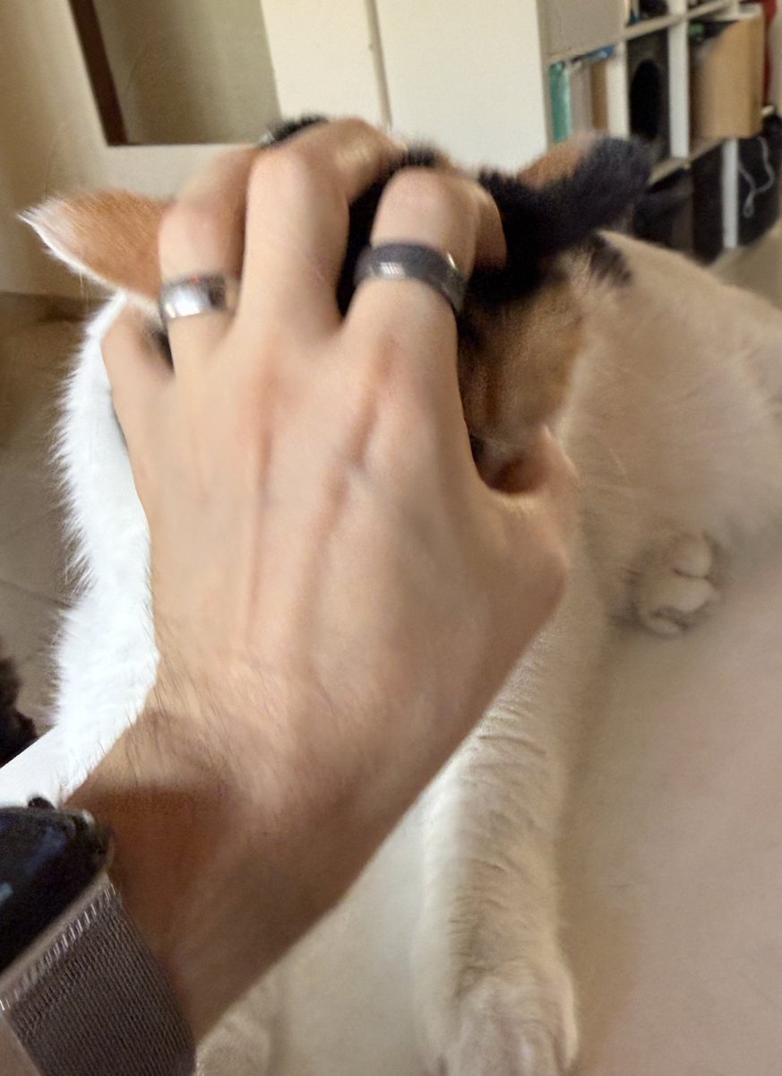 laier's tweet image. 