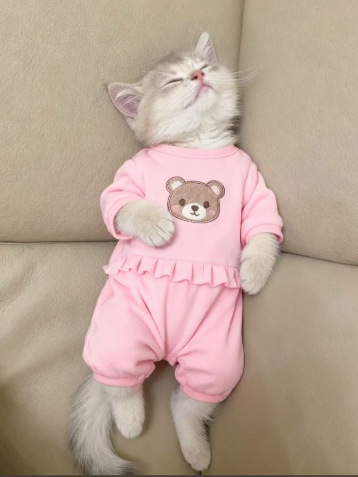 gersonfid1's tweet image. KILAA.H1H212.11.KL11.KK1.LL8